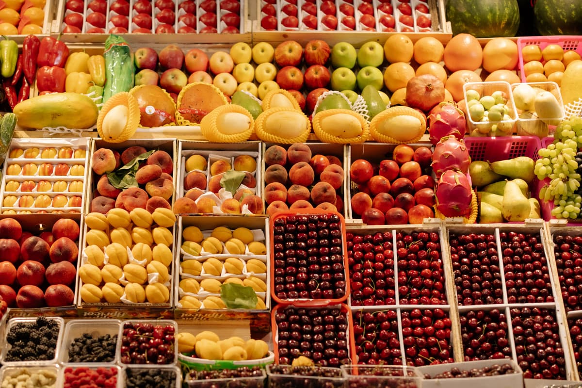 RC prodotti: quando serve a chi produce o distribuisce
